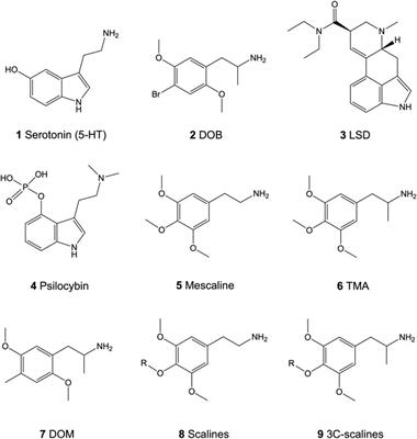 Receptor Interaction Profiles of 4-Alkoxy-3,5-Dimethoxy-Phenethylamines (Mescaline Derivatives) and Related Amphetamines